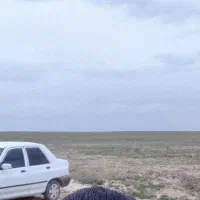 مدال 96