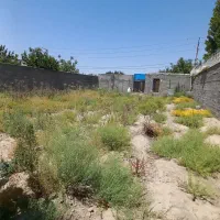 فروش باغچه ۵۰۰متری