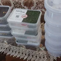 اسباب