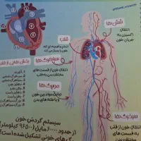 جزوه کامل زیست و ریاضی دهم/ بی نیاز از کتاب درسی