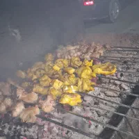 ۱۰۰ عدد سیخ جیگر