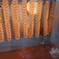 نیروی کار خانم و شیفت شب نوشمک