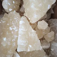نبات