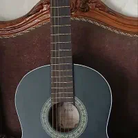 گیتار کلاسیک پارسی در حد نو