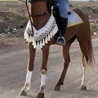 نریان درهشوری
