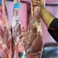 استخدام نیروی ماهر قصاب و مرغ و ماهی خرد کن