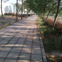 بنا برا ساختمان