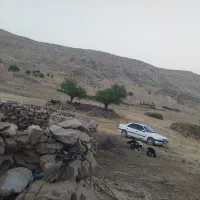 405تیوفایو مدل 96