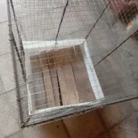 قفس فلزی.