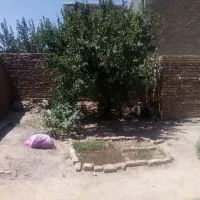 زمین