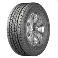 یک جفت لاستیک بارز