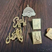 ۶ عدد بچ سینه