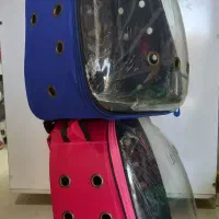 پت شاپ شارلوت