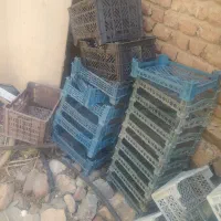 سبد