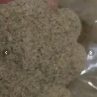 گزو جوان