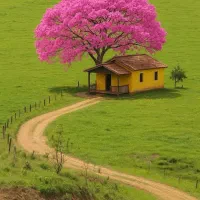 ۱۰۰۰ متر زمین ادگ