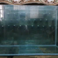اکواریوم