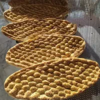 شاطر بربری حرفه ای