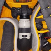 لنز ۷۰۰.۲۰۰ کنونf2.8