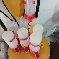 تعدادی وسایل پرنده بخاطرتعغیرشغل فروشی