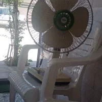 پنکه