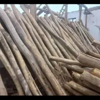 خرید چوب|عمدهفروشی|مشهد, وکیلآباد|دیوار