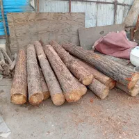 خریدار چوب ،تخته ،تنه درخت