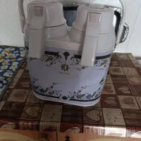 فلاکس دوقلو