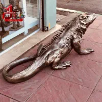 ایگوانا سبز یک ساله