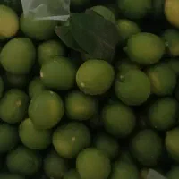 لیمو شیشه اصل دزفول درجه یک