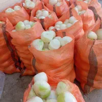 پیاز پوست گرفته و.پوره بدون آب کاملاً بهداشتی