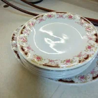 سینی پذیرایی و سرویس غذا خوری حراج تا شب