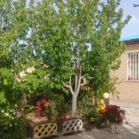 خونه ویلایی شهر امیرکبیر