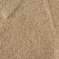 فروش جو محلی