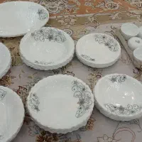 دو دست سرویس ارکوپال نو