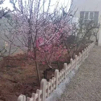 ویلا در آبسرد دماوند روستای زان