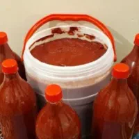 رب خانگی