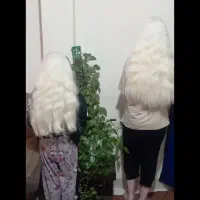 مجله مو