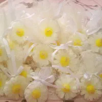 گیفت بابونه