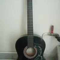 Guitar Carlos