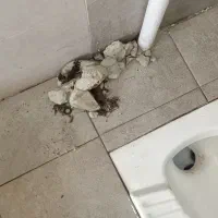 لوله بازکنی وجرمگیری آبگرمکن وپکیج دیواری