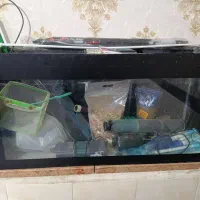 آکواریوم با تمام وسایل