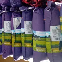 برنج هندی جی تی سی و پاکستانی