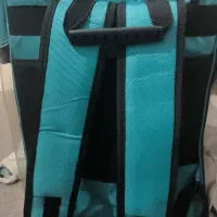 کیف حمل حیوان خانگی