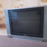 تلویزیون