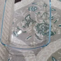 جا سالادی و دیس برنج