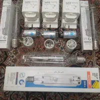 لامپ وچراغ