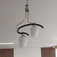 لوستر دو شاخه