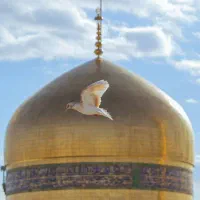 رزرو هتل مشهد
