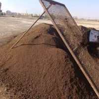 خاک باغچه|گل و گیاه طبیعی|قم, پردیسان|دیوار